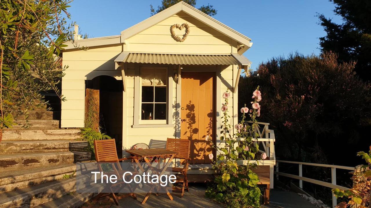 Bluff Hill Bed & Breakfast Napier Bagian luar foto